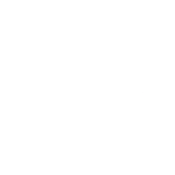VHS Happy Tails