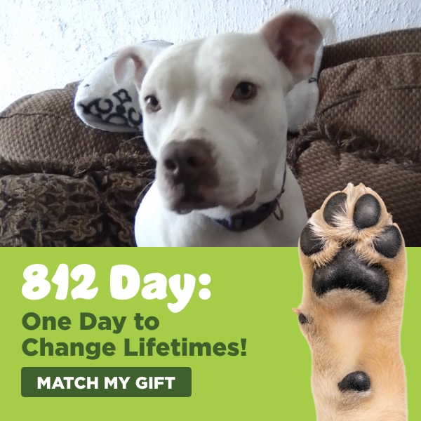 https://give.vhslifesaver.org/campaigns/45890-812-day